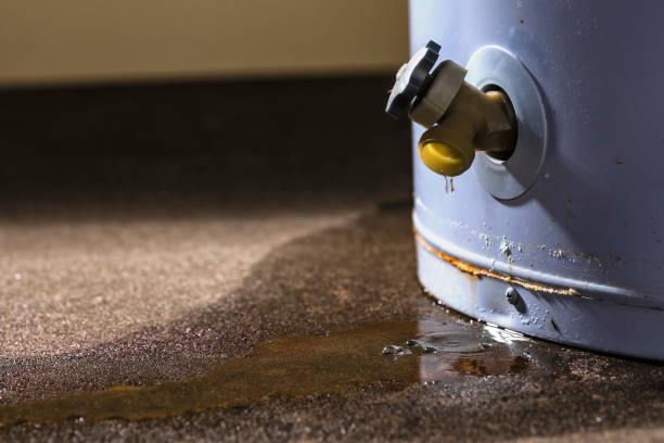 Best Water damage restoration near me  in Columbus, IN