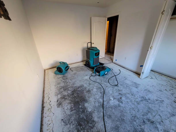 Best Ceiling water damage repair  in Columbus, IN