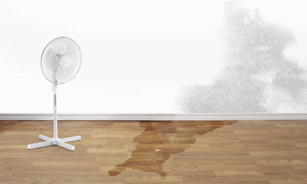 Water damage restoration mold remediation in IN