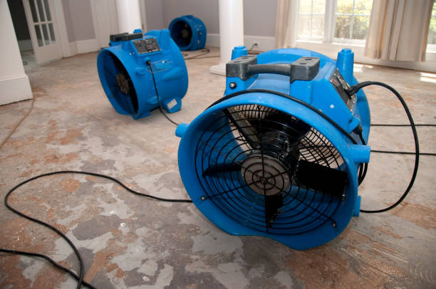 Best Water damage restoration near me  in Columbus, IN