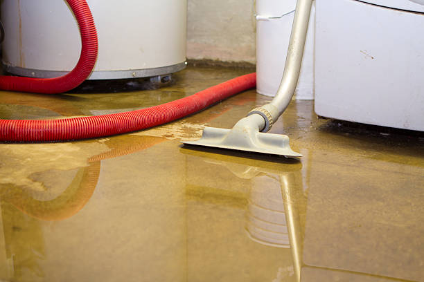 Carpet water damage restoration in IN