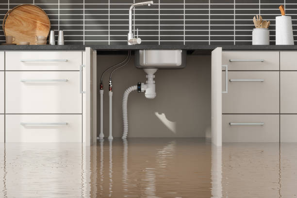 Best Carpet water damage restoration  in Columbus, IN