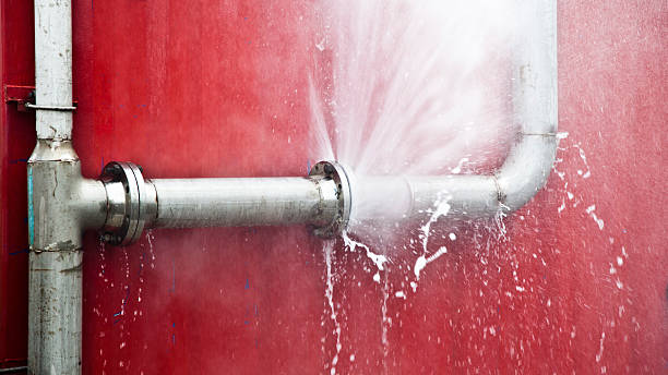 Best Water damage cleanup near me  in Columbus, IN