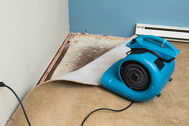 Best Water damage restoration insurance claims  in Columbus, IN